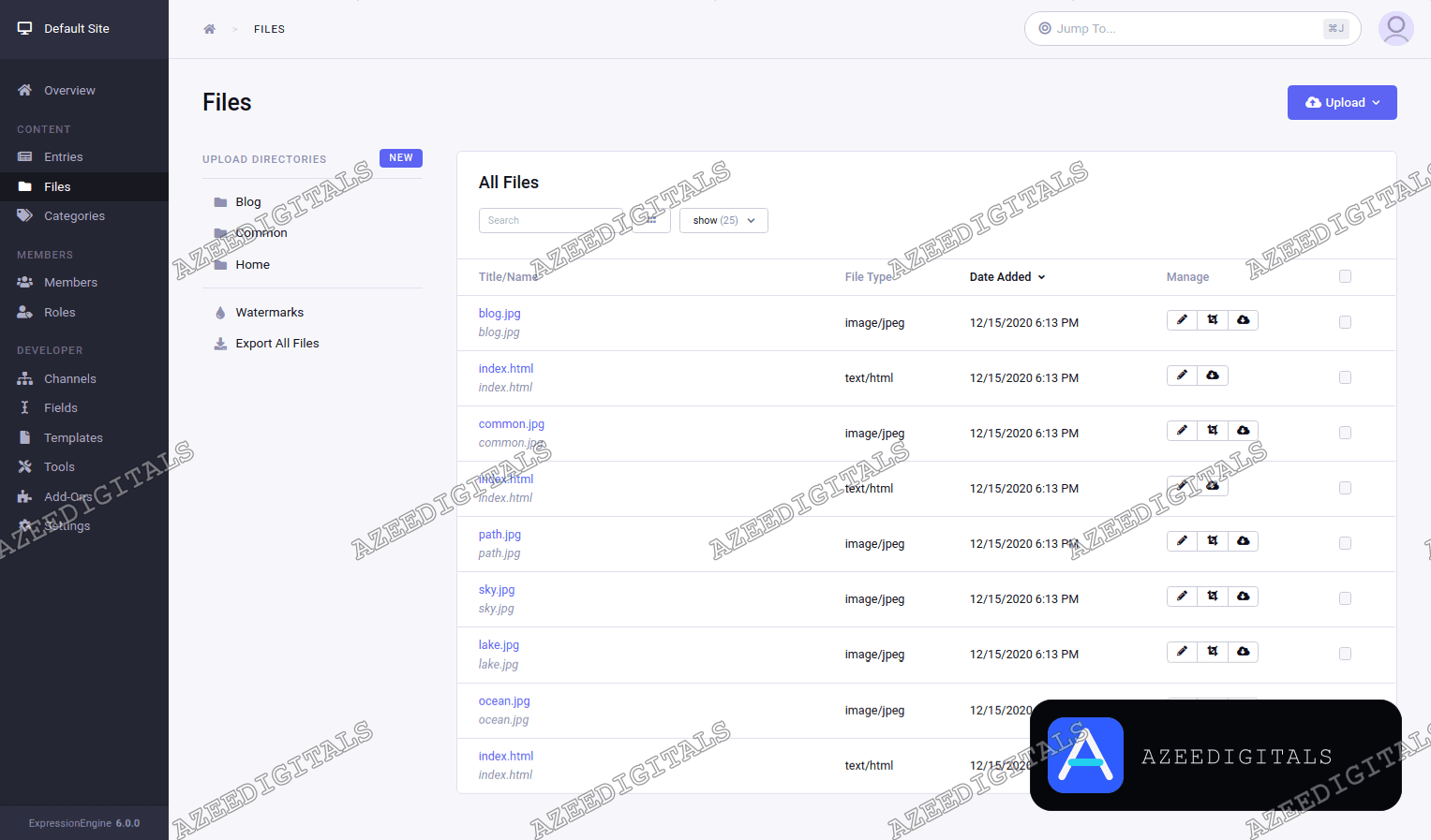 CMS-Managed Website Build